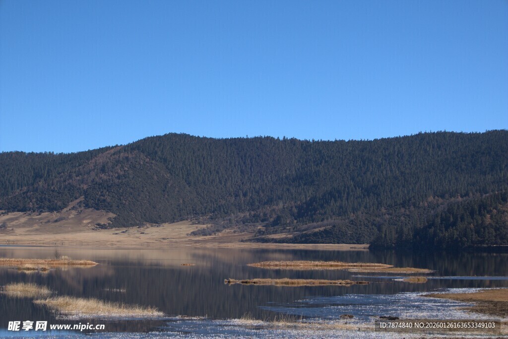 普达措森林公园