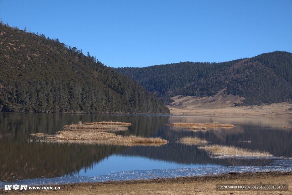 普达措森林公园