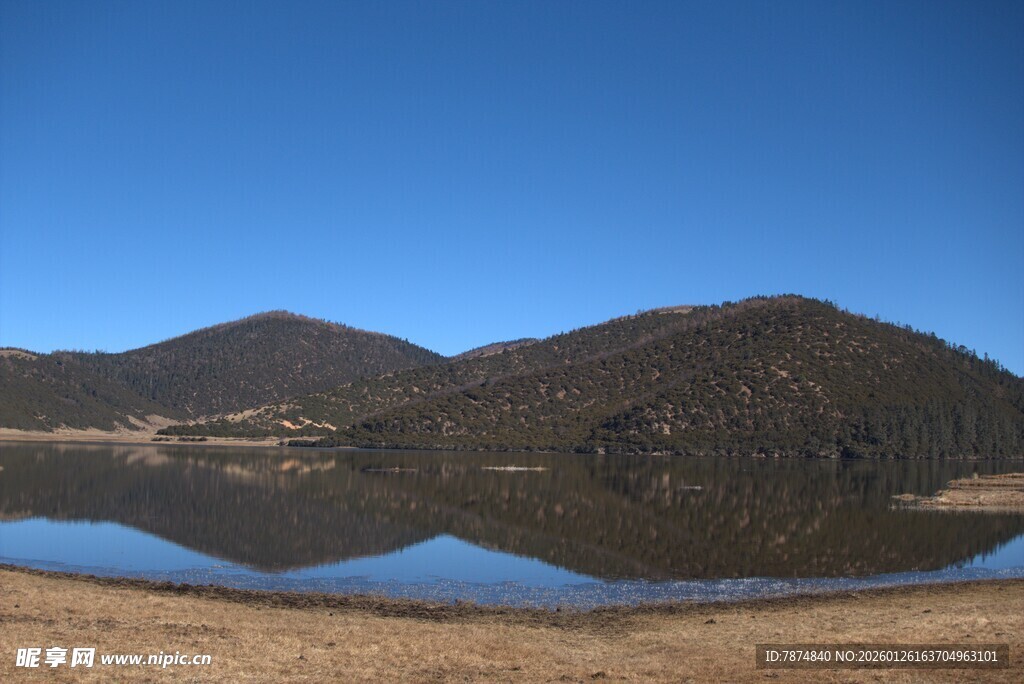 普达措森林公园