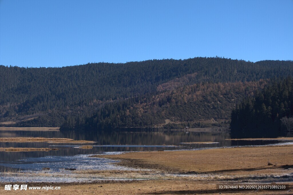 普达措森林公园