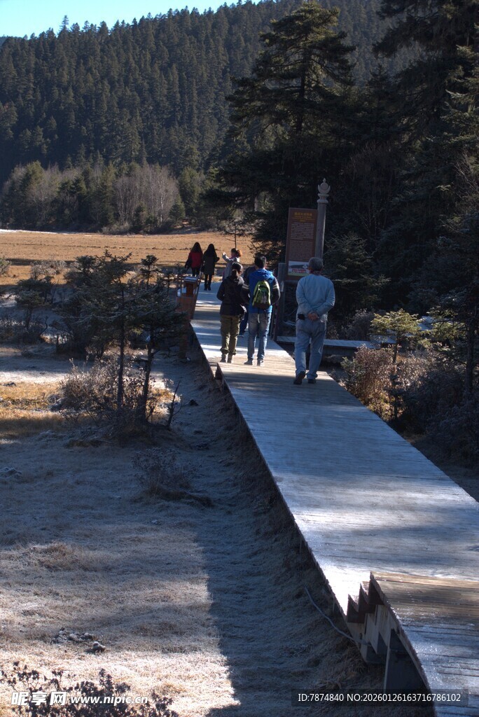 普达措森林公园