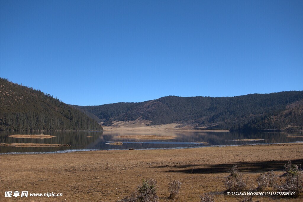 普达措森林公园