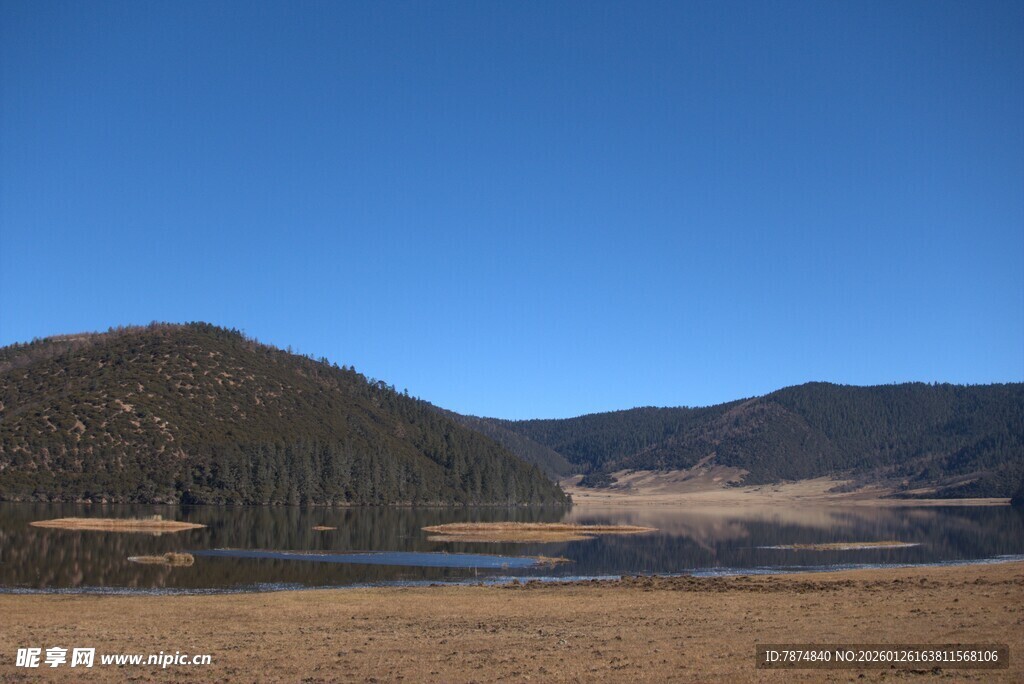 普达措森林公园