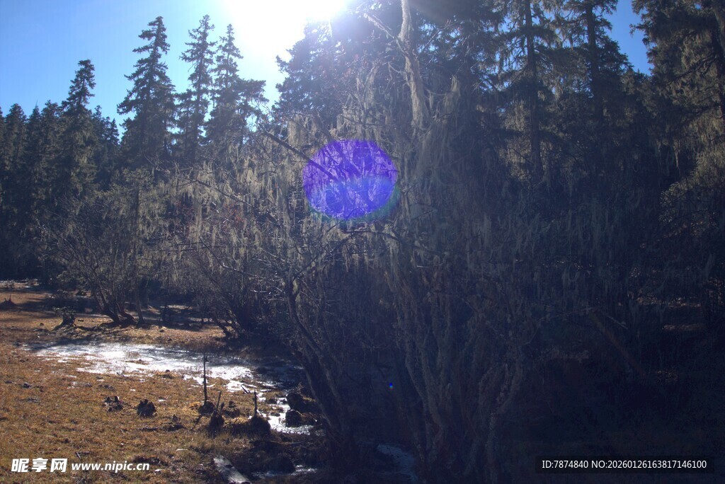 普达措森林公园