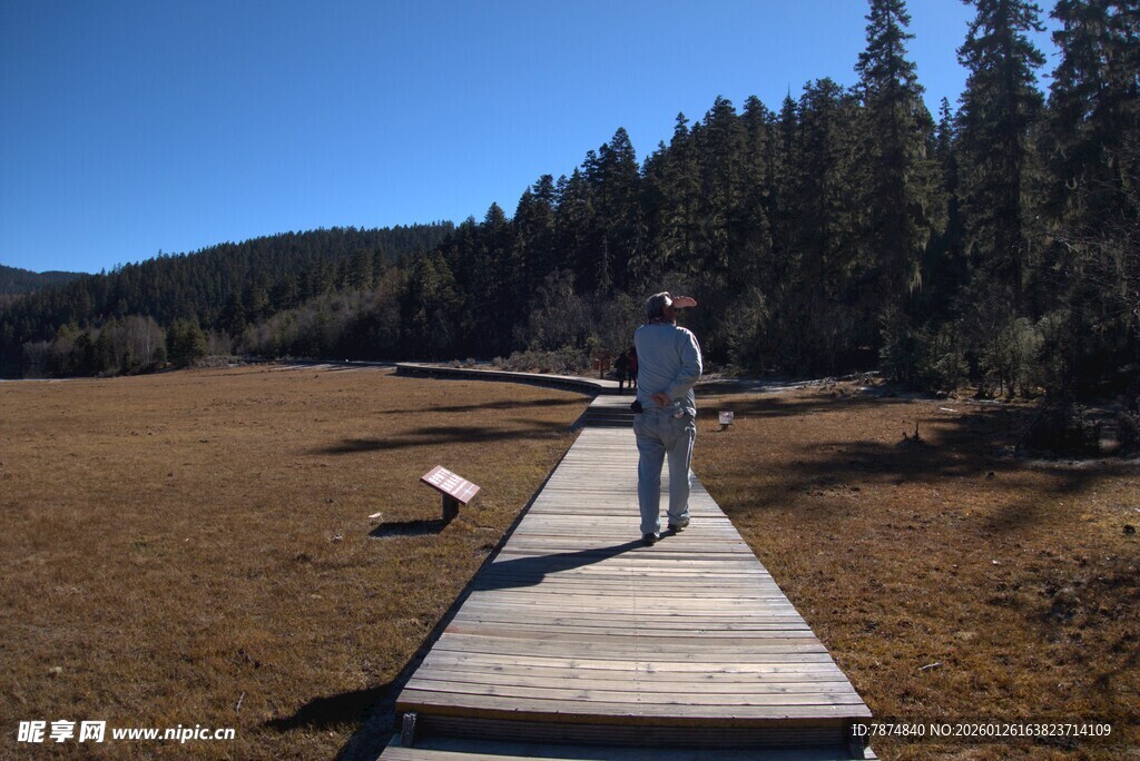 普达措森林公园