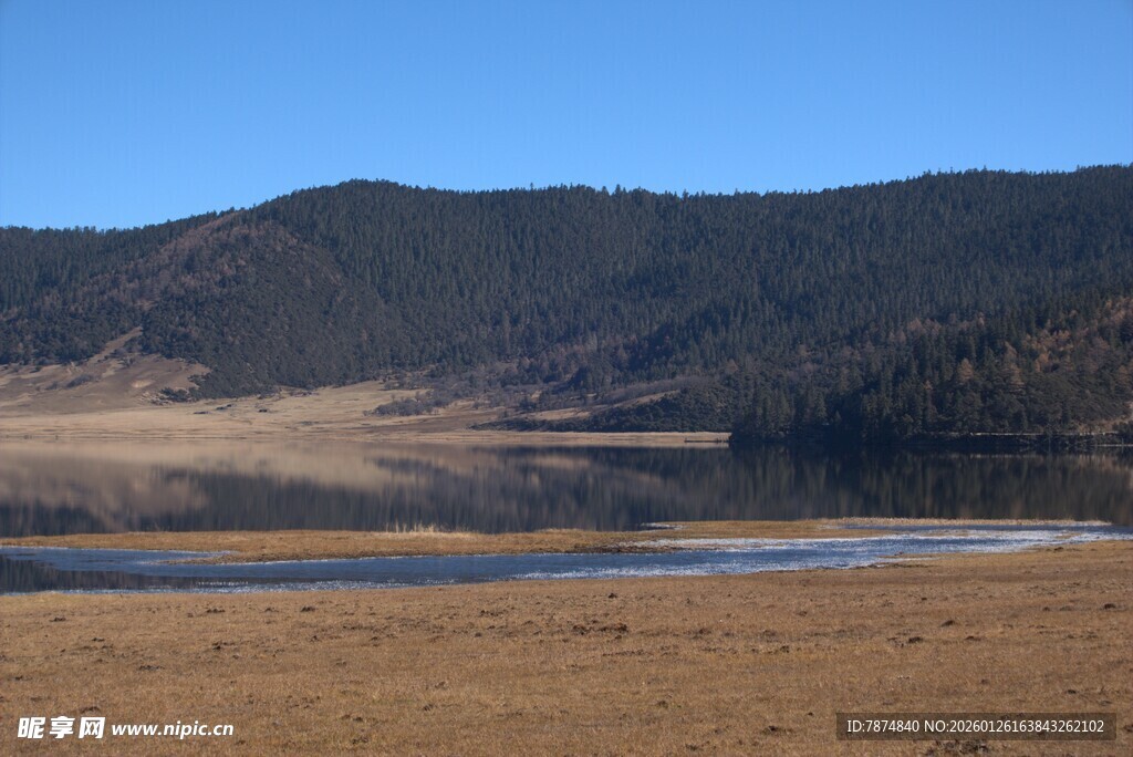 普达措森林公园