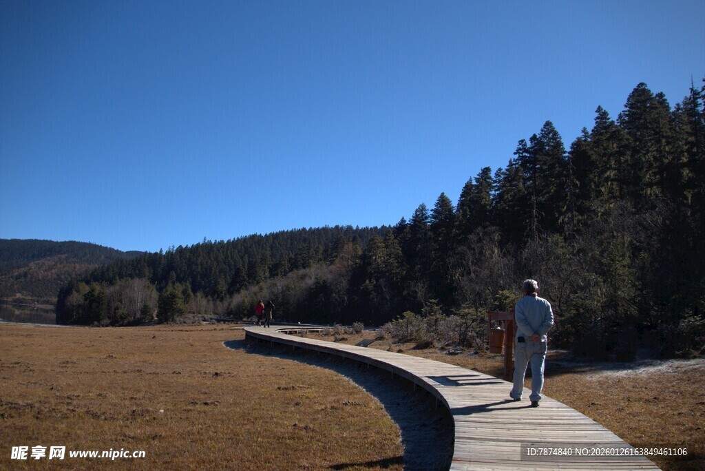 普达措森林公园