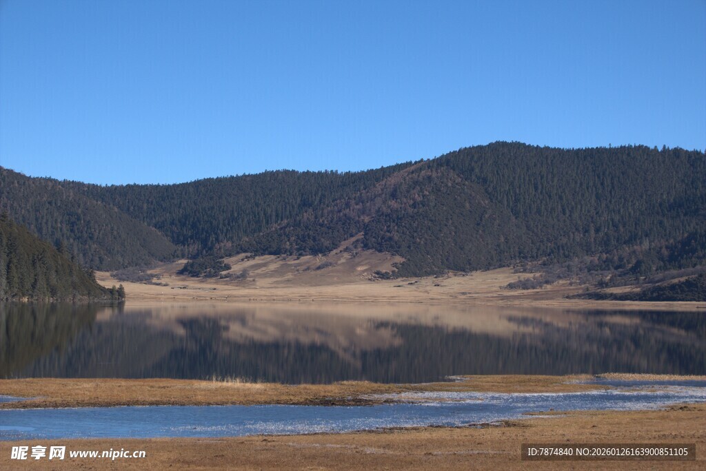普达措森林公园
