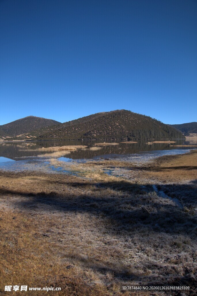 普达措森林公园