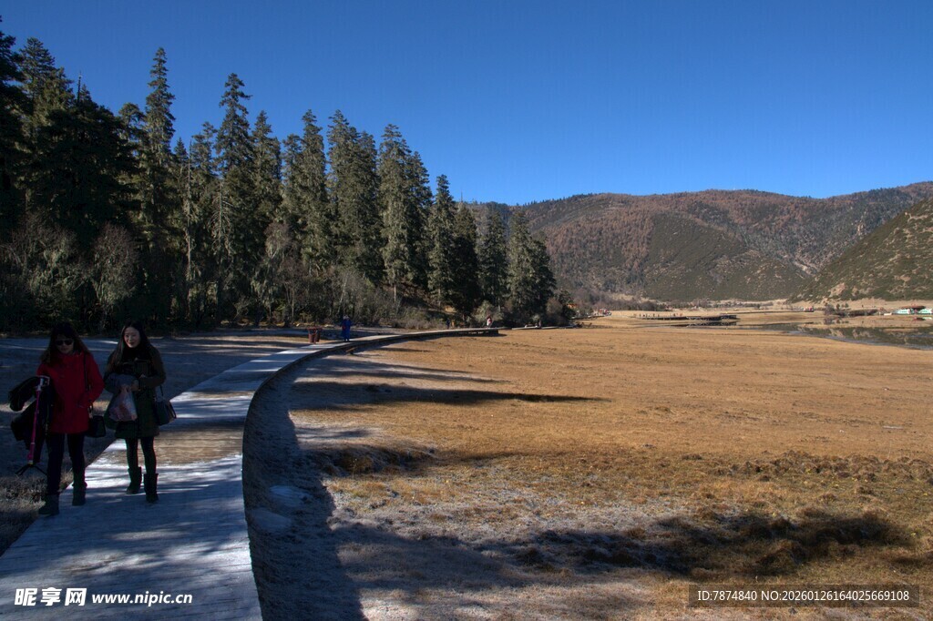 普达措森林公园
