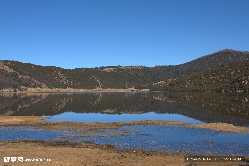 普达措森林公园
