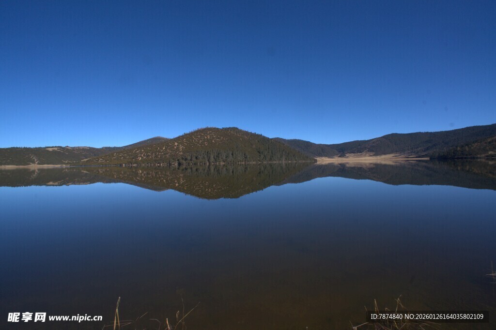 普达措森林公园