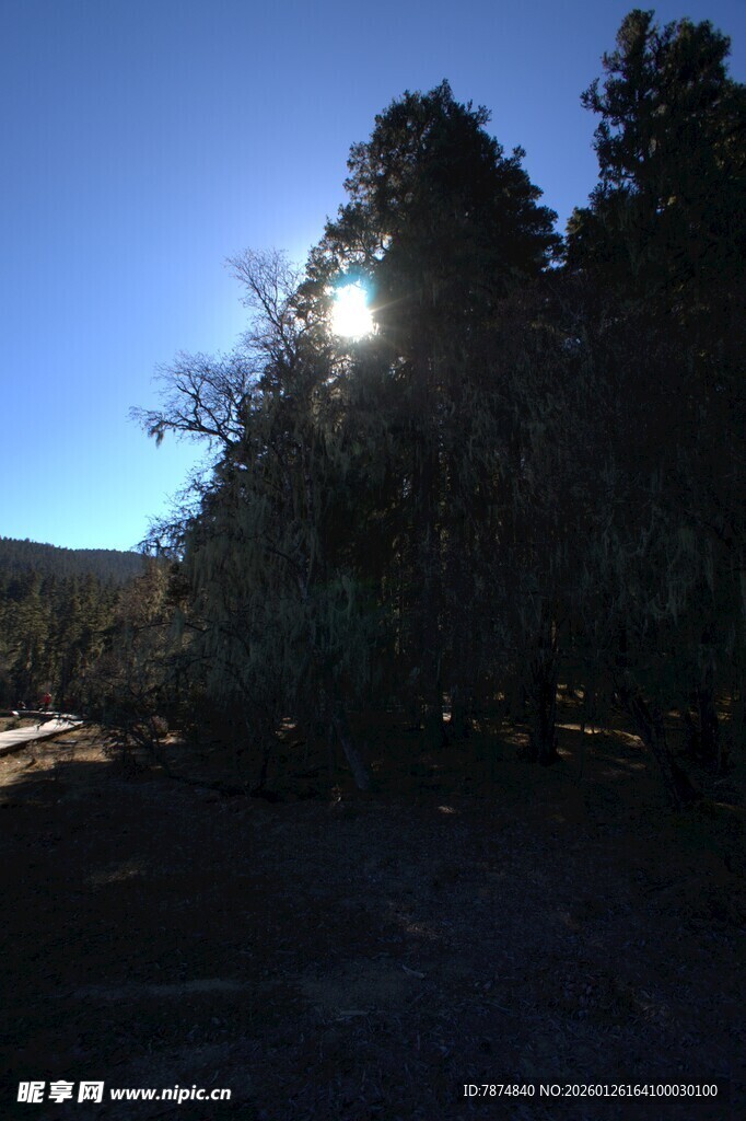 普达措森林公园