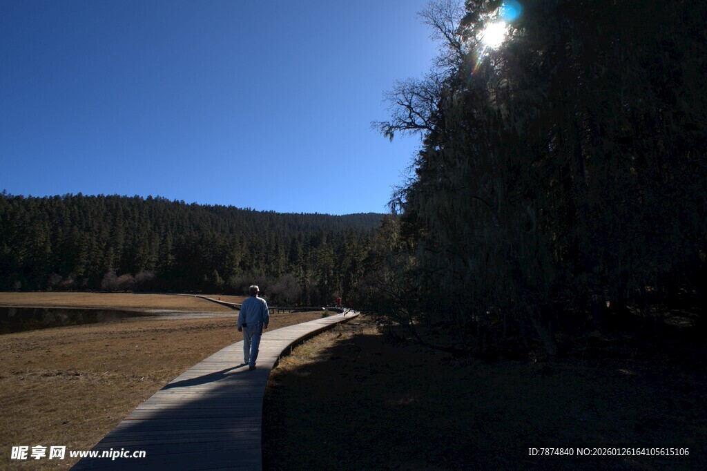 普达措森林公园