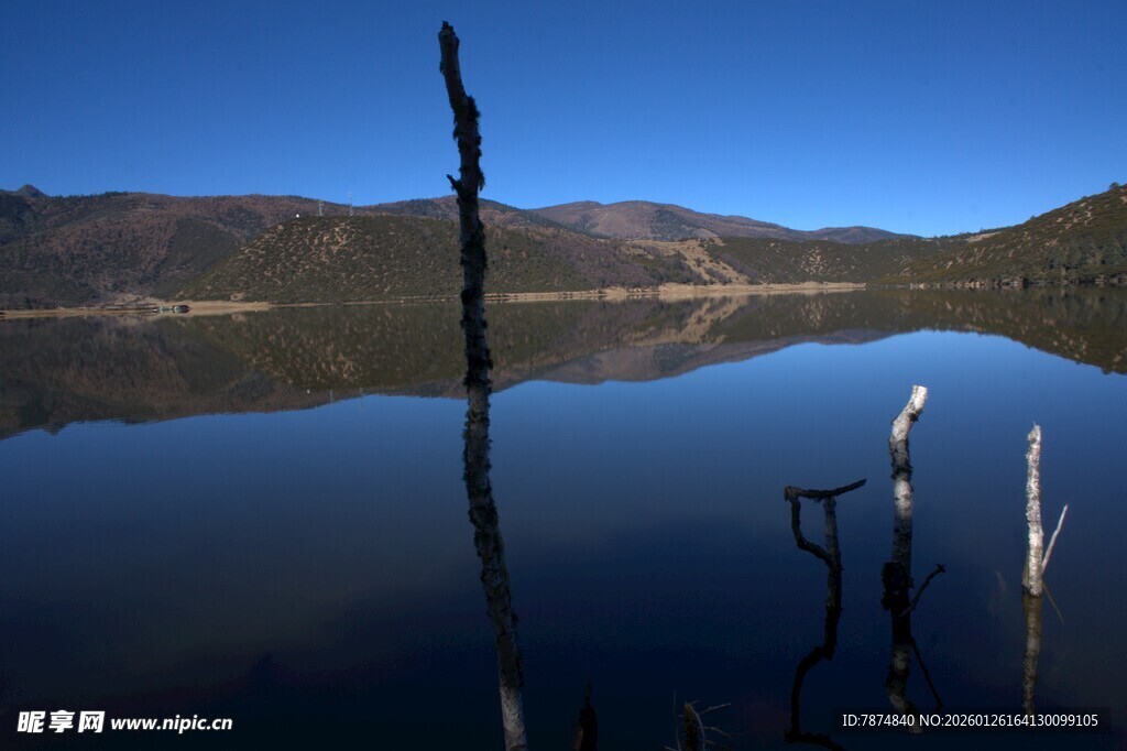 普达措森林公园