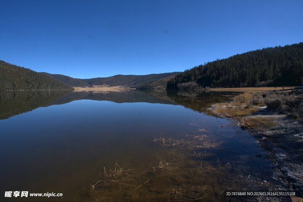 普达措森林公园