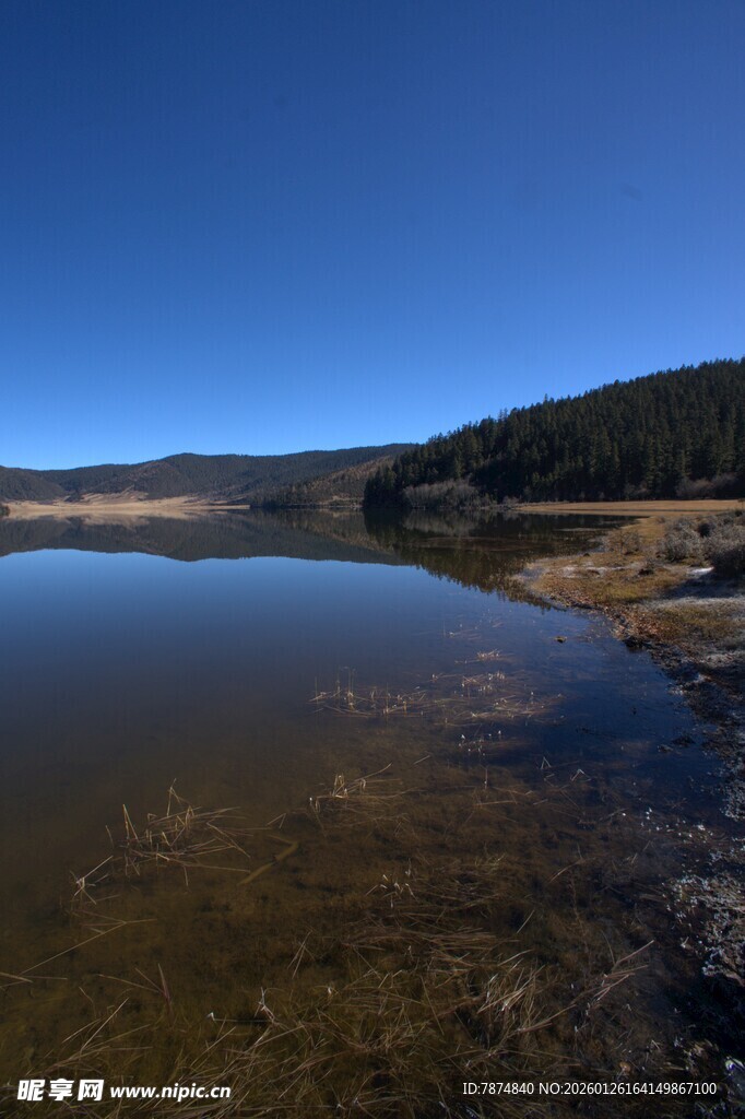 普达措森林公园