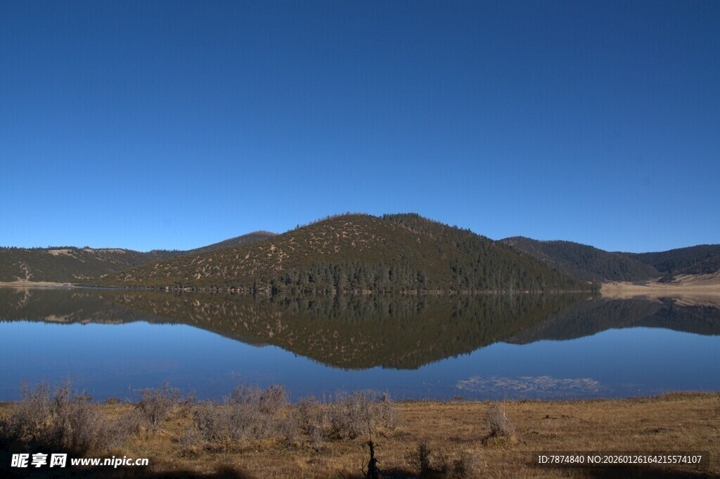 普达措森林公园