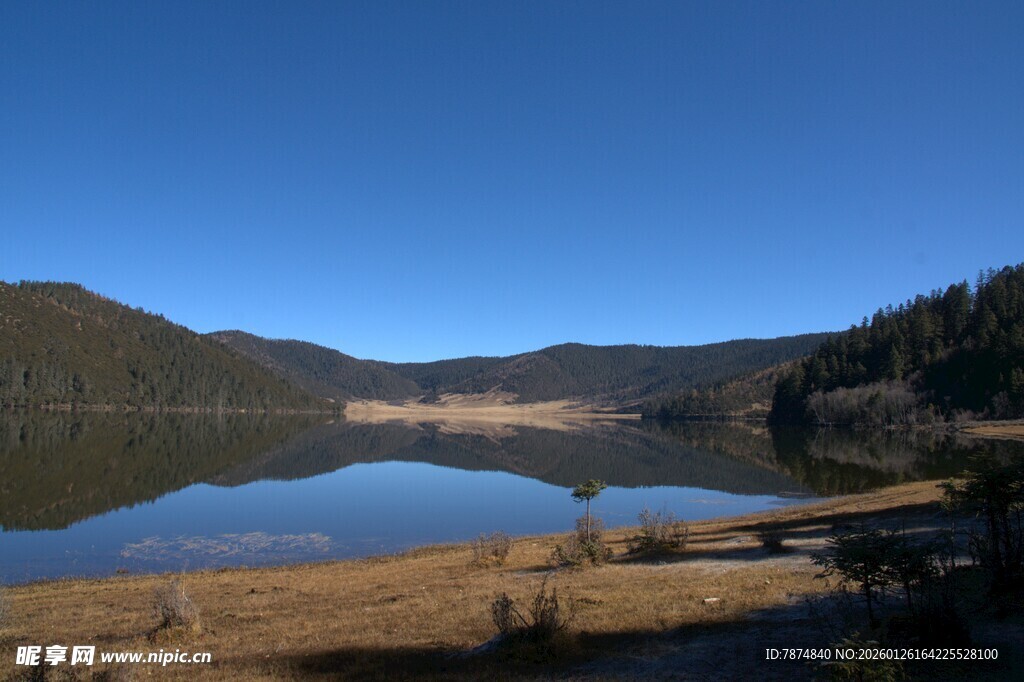 普达措森林公园
