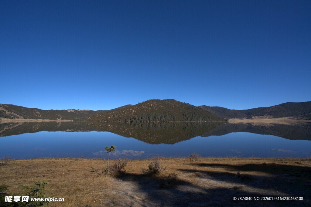 普达措森林公园