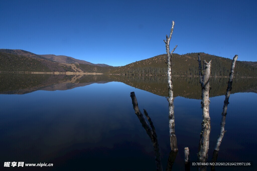 普达措森林公园