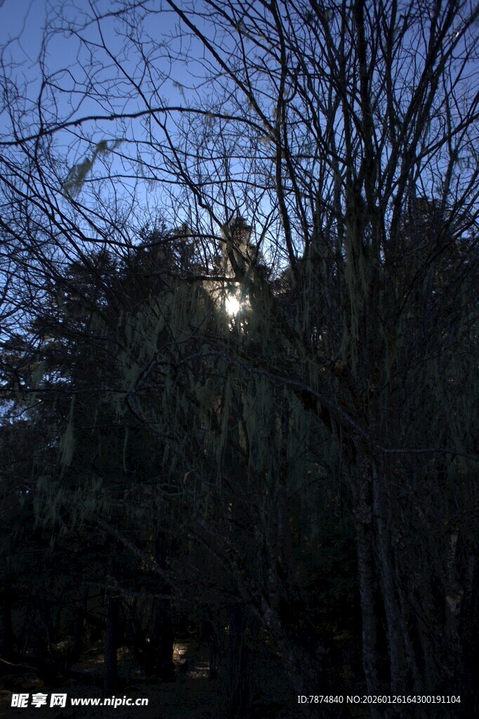 普达措森林公园