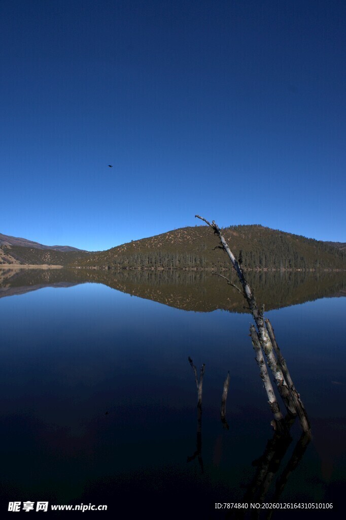 普达措森林公园