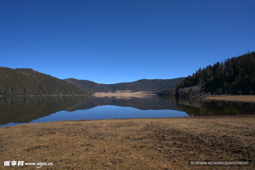 普达措森林公园
