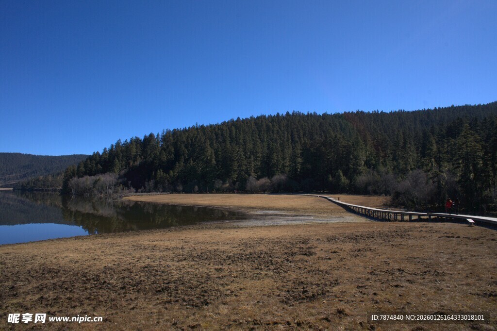 普达措森林公园