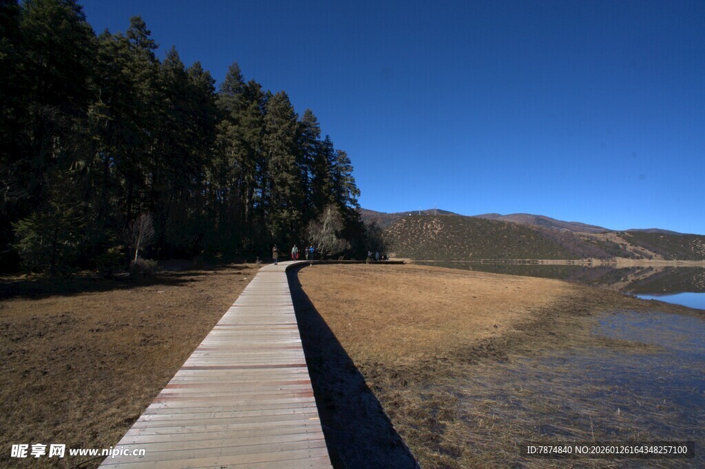 普达措森林公园