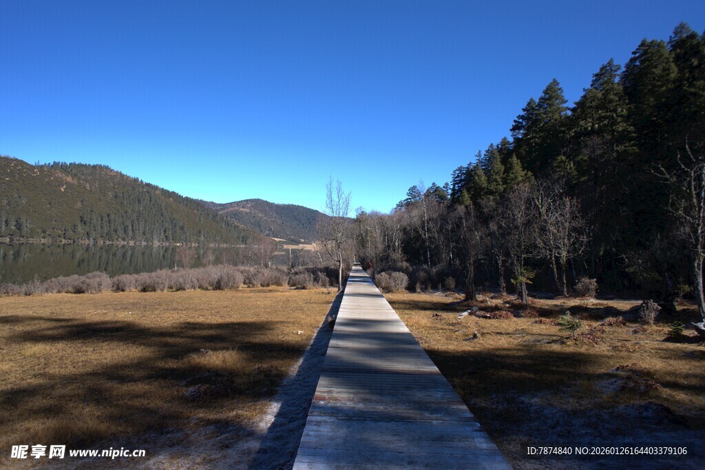普达措森林公园
