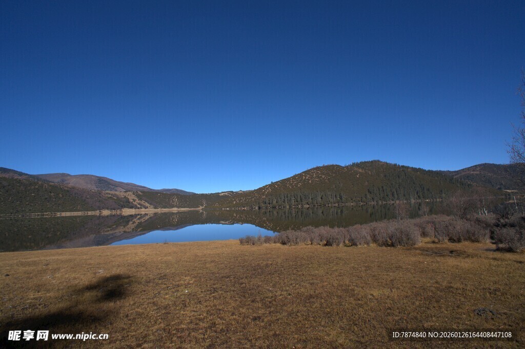 普达措森林公园