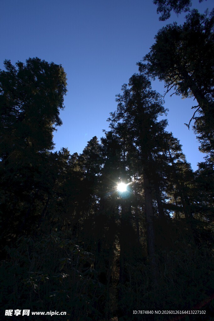 普达措森林公园