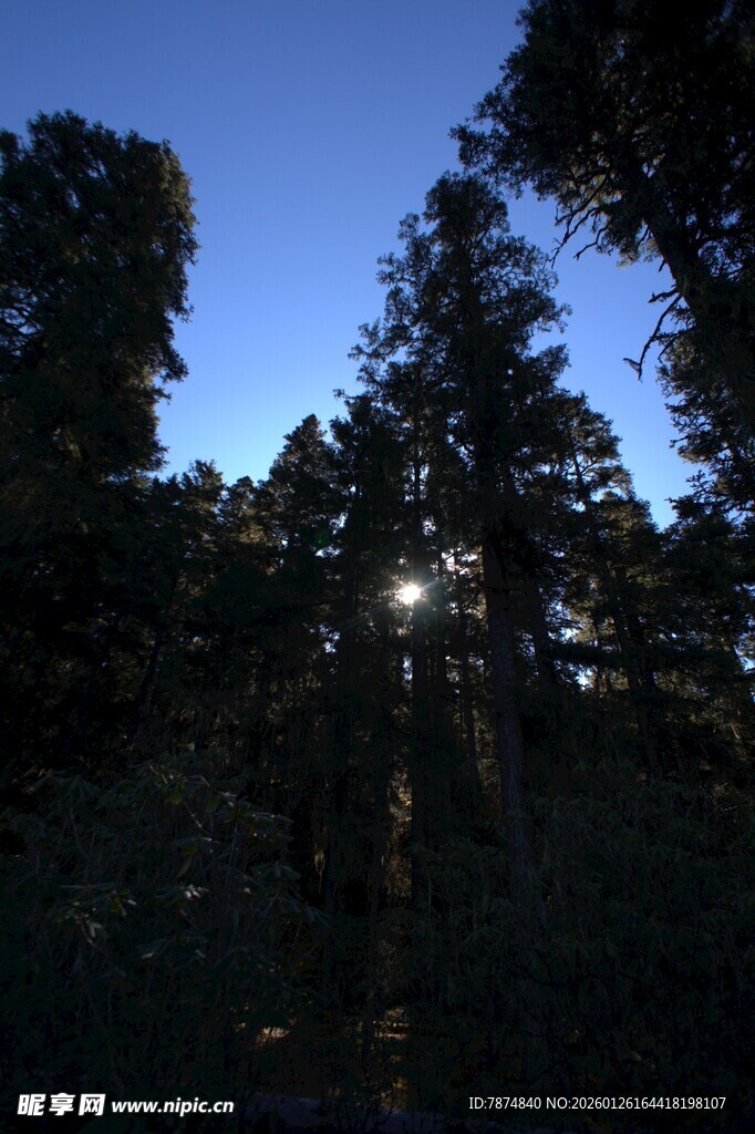 普达措森林公园
