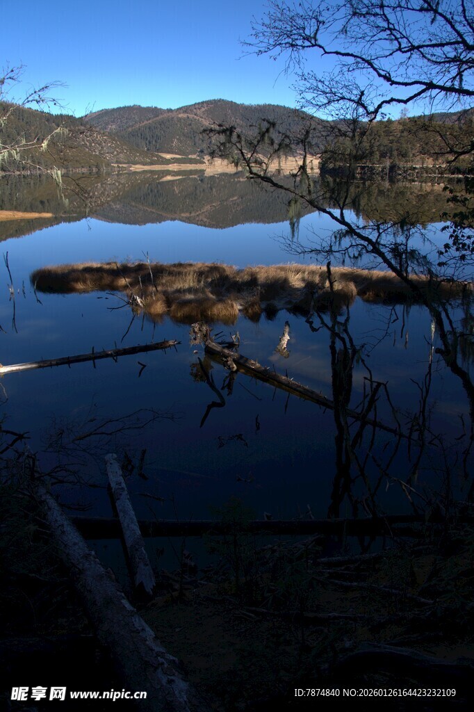 普达措森林公园