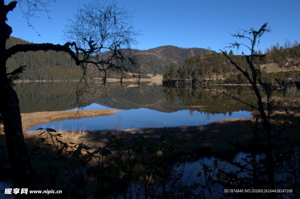 普达措森林公园