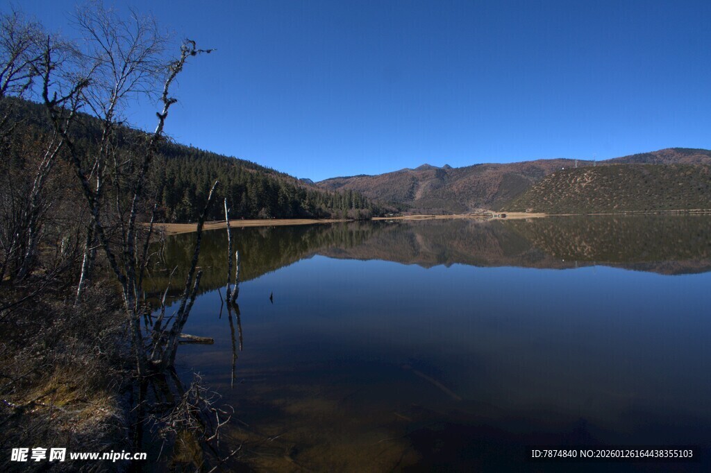 普达措森林公园