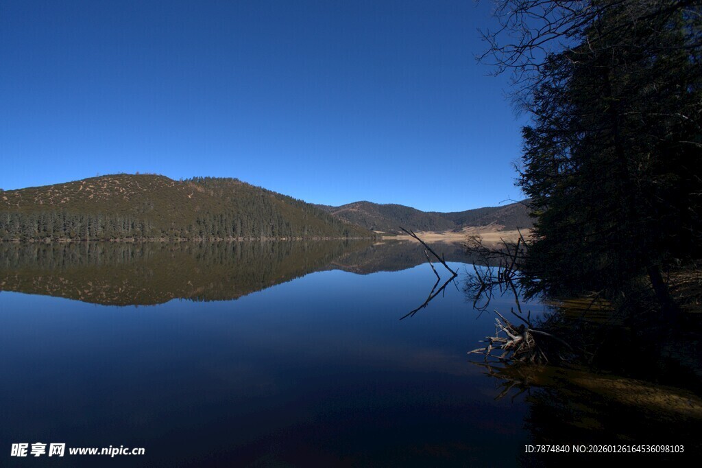 普达措森林公园