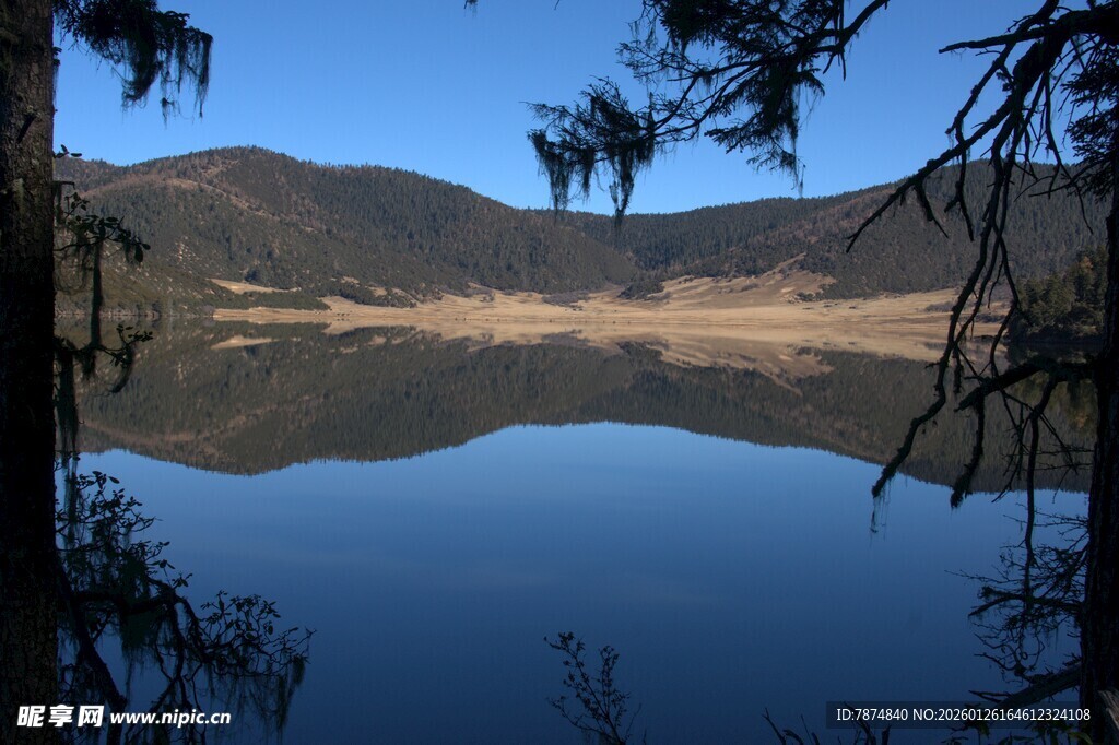 普达措森林公园