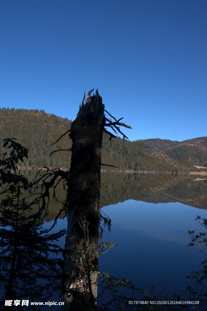 普达措森林公园