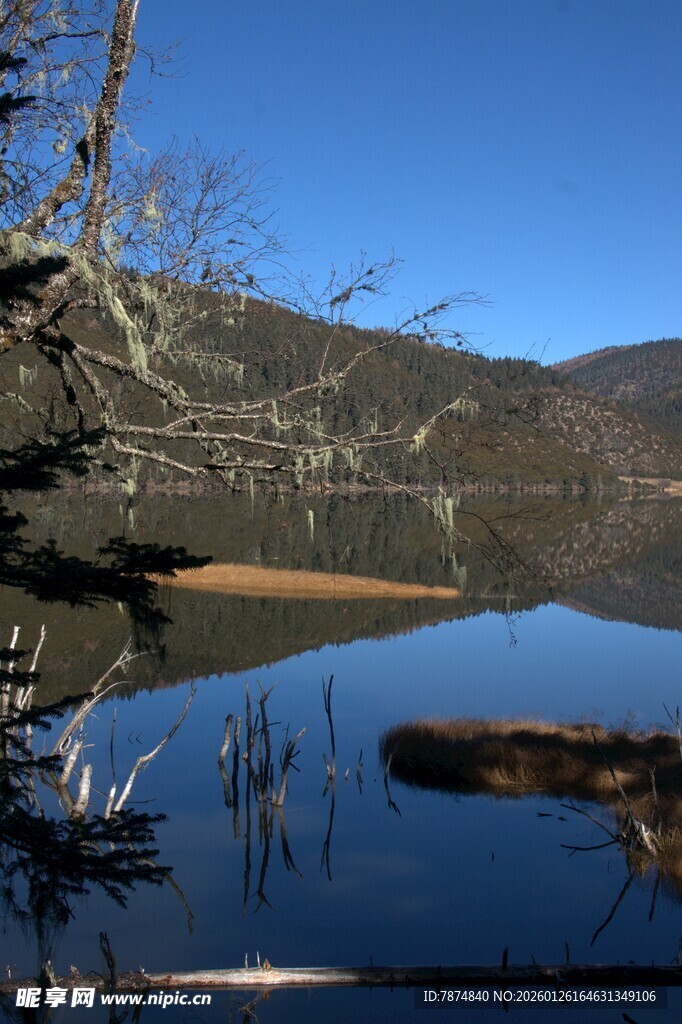 普达措森林公园