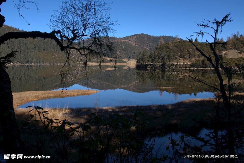 普达措森林公园