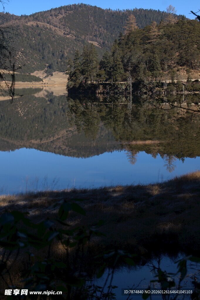 普达措森林公园