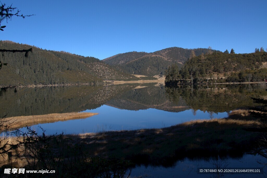 普达措森林公园