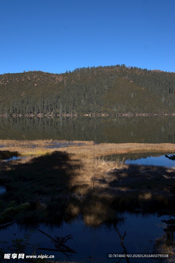 普达措森林公园
