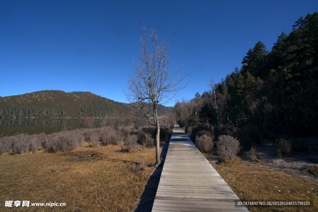 普达措森林公园