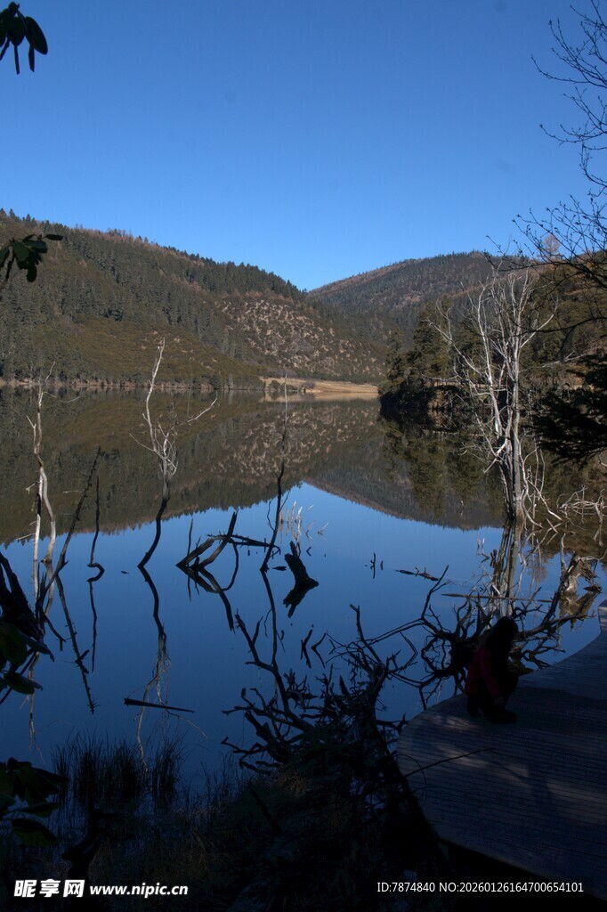 普达措森林公园