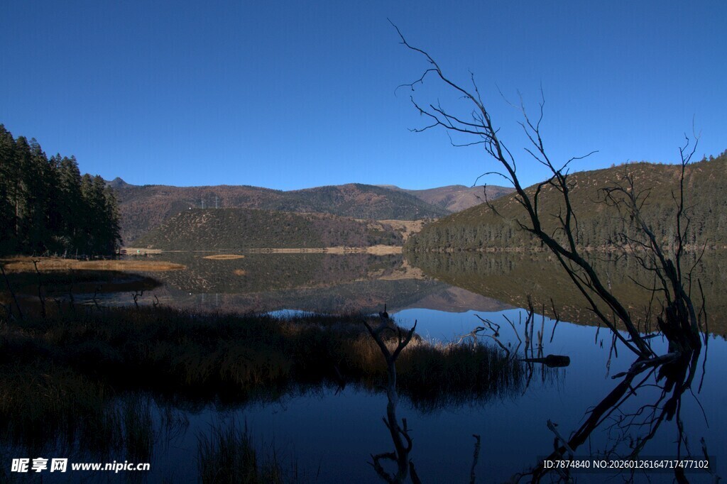 普达措森林公园