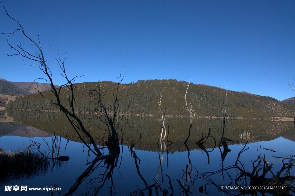 普达措森林公园