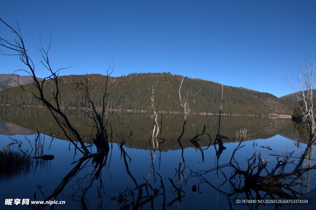 普达措森林公园